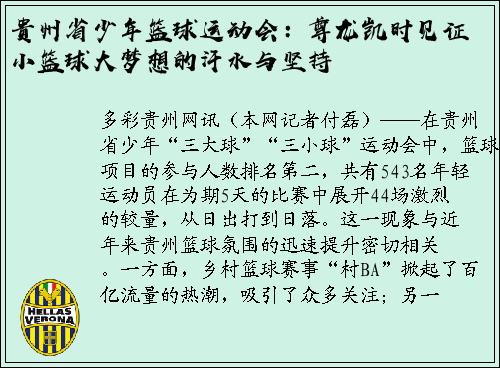贵州省少年篮球运动会：尊龙凯时见证小篮球大梦想的汗水与坚持