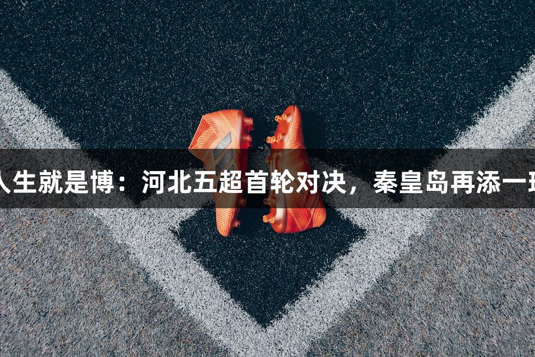 尊龙凯时人生就是博：河北五超首轮对决，秦皇岛再添一球击败定州