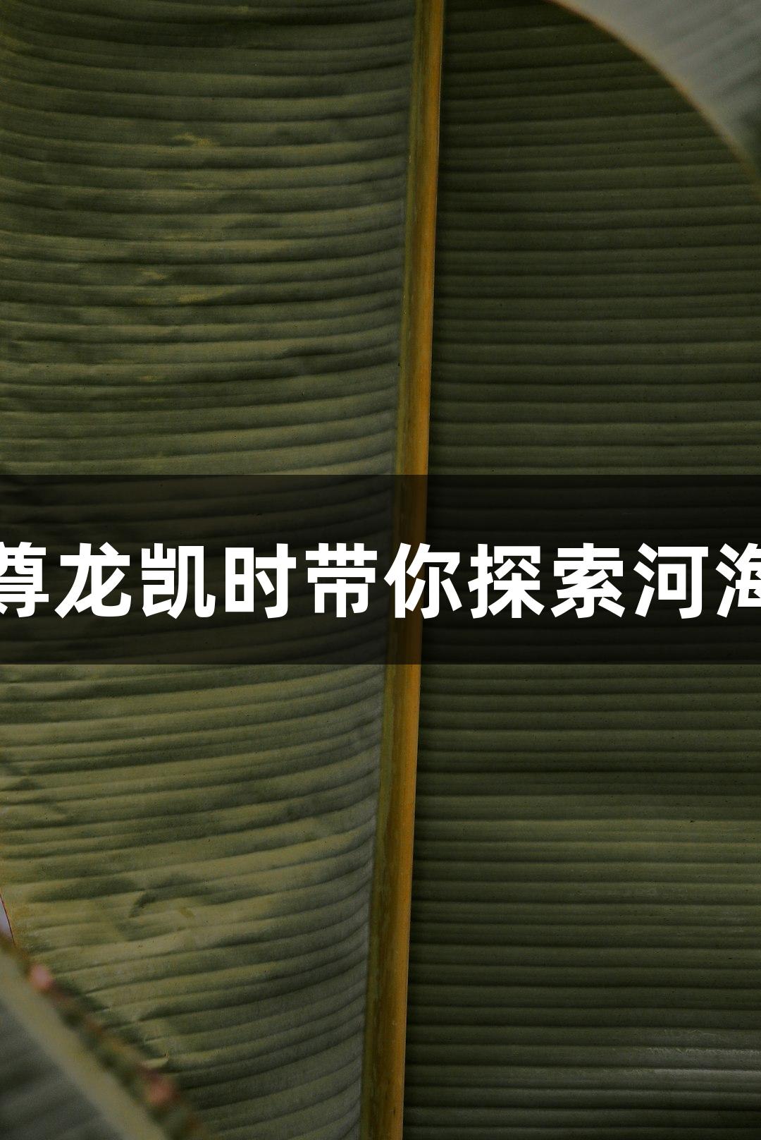 邂逅魅力天津：尊龙凯时带你探索河海津城的无限精彩