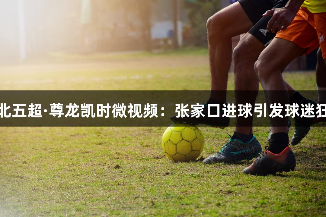 河北五超·尊龙凯时微视频：张家口进球引发球迷狂欢
