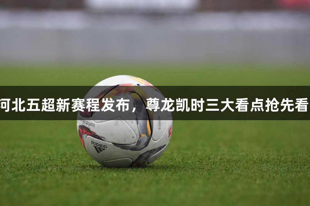 河北五超新赛程发布，尊龙凯时三大看点抢先看！