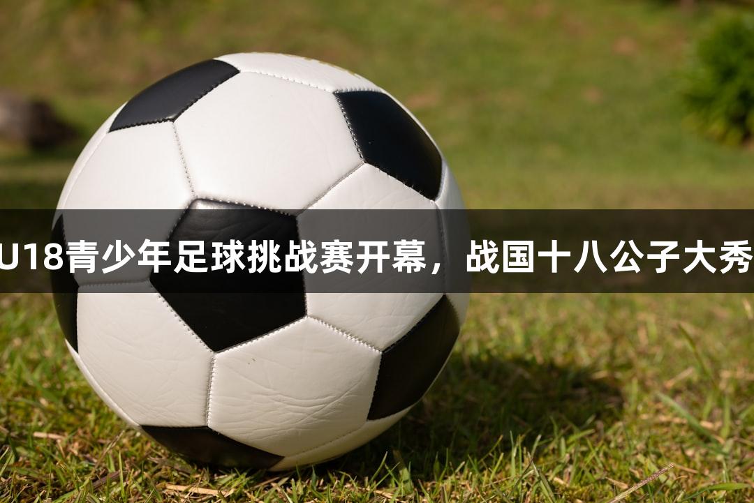 “尊龙凯时-人生就是博” U18青少年足球挑战赛开幕，战国十八公子大秀才艺，名嘴韩乔生现场解说。