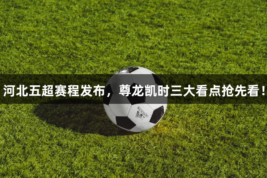 河北五超赛程发布，尊龙凯时三大看点抢先看！
