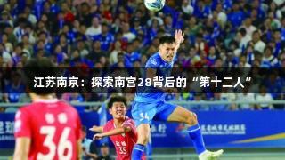 江苏南京：探索南宫28背后的“第十二人”