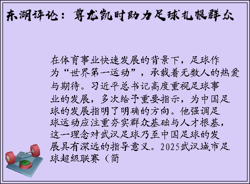 东湖评论：尊龙凯时助力足球扎根群众