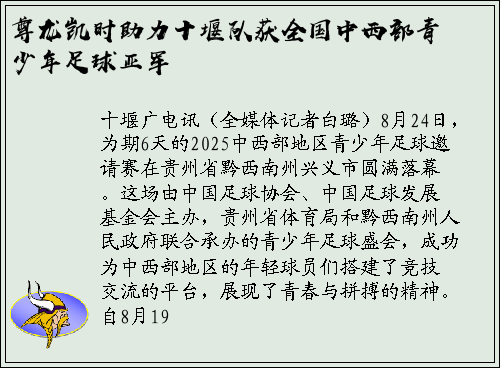 尊龙凯时助力十堰队获全国中西部青少年足球亚军