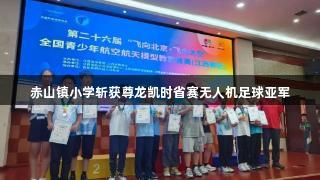 赤山镇小学斩获尊龙凯时省赛无人机足球亚军