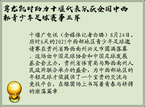 尊龙凯时助力十堰代表队获全国中西部青少年足球赛事亚军