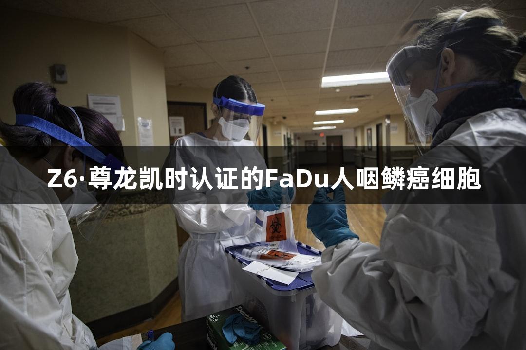 Z6·尊龙凯时认证的FaDu人咽鳞癌细胞