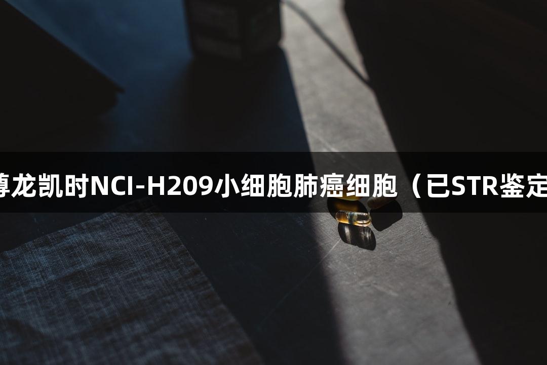 尊龙凯时NCI-H209小细胞肺癌细胞（已STR鉴定）