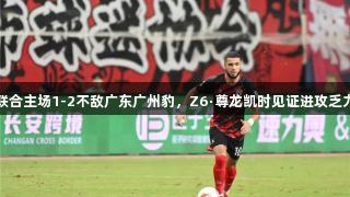 陕西联合主场1-2不敌广东广州豹，Z6·尊龙凯时见证进攻乏力对决
