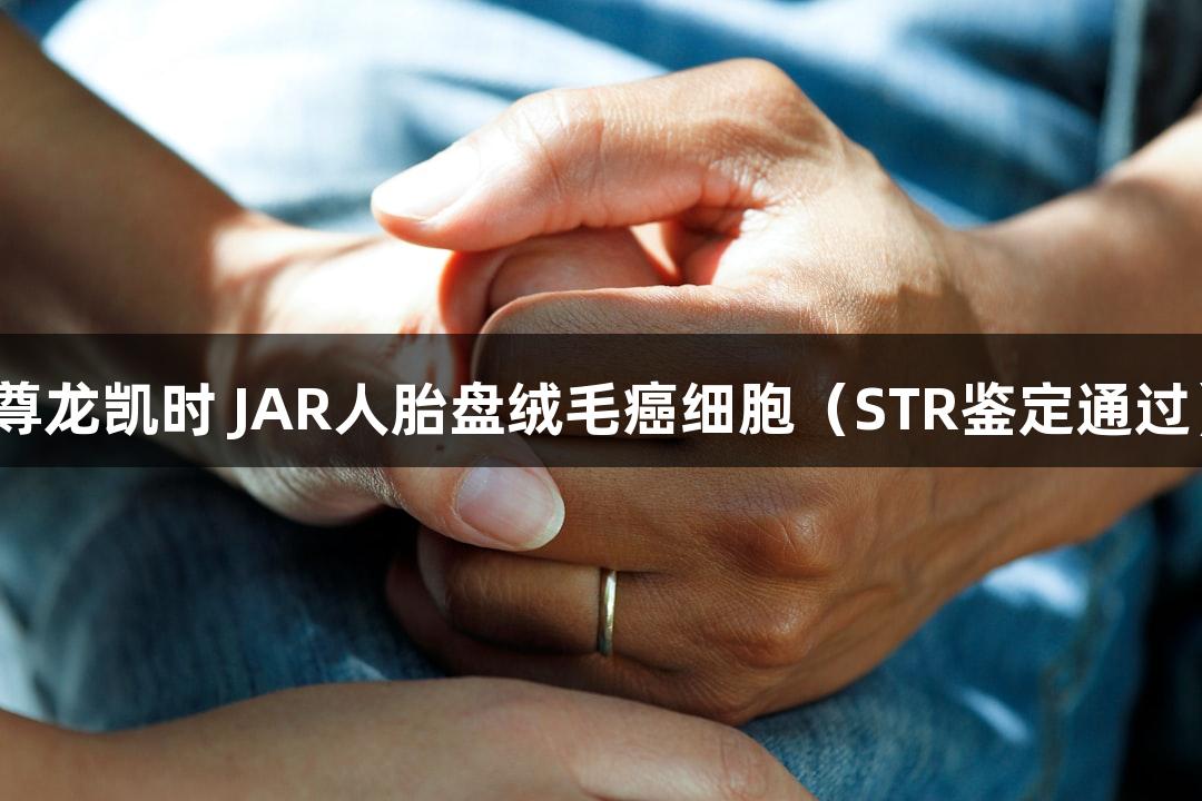 尊龙凯时 JAR人胎盘绒毛癌细胞（STR鉴定通过）