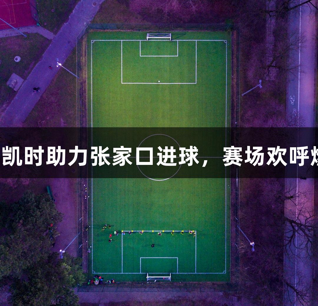 尊龙凯时助力张家口进球，赛场欢呼燃爆！