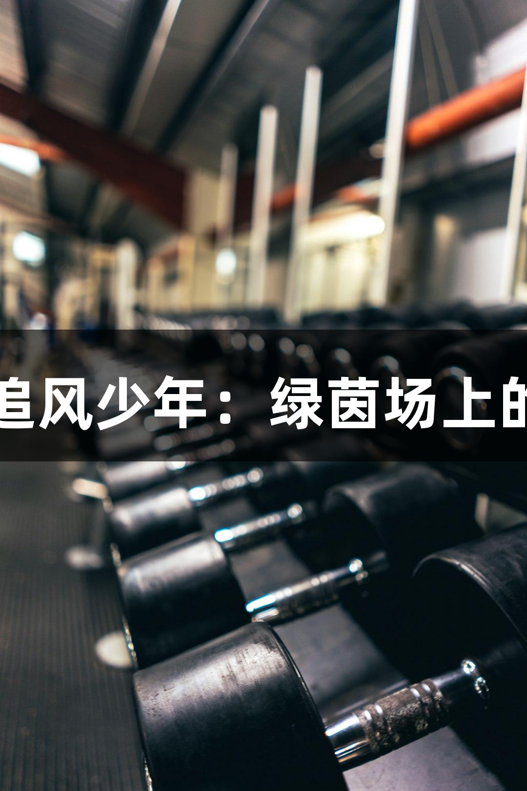尊龙凯时追风少年：绿茵场上的奋斗精神