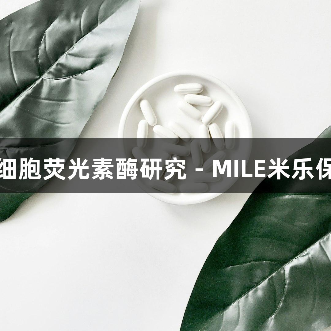 小鼠胶质瘤细胞荧光素酶研究 - MILE米乐保障科研前沿