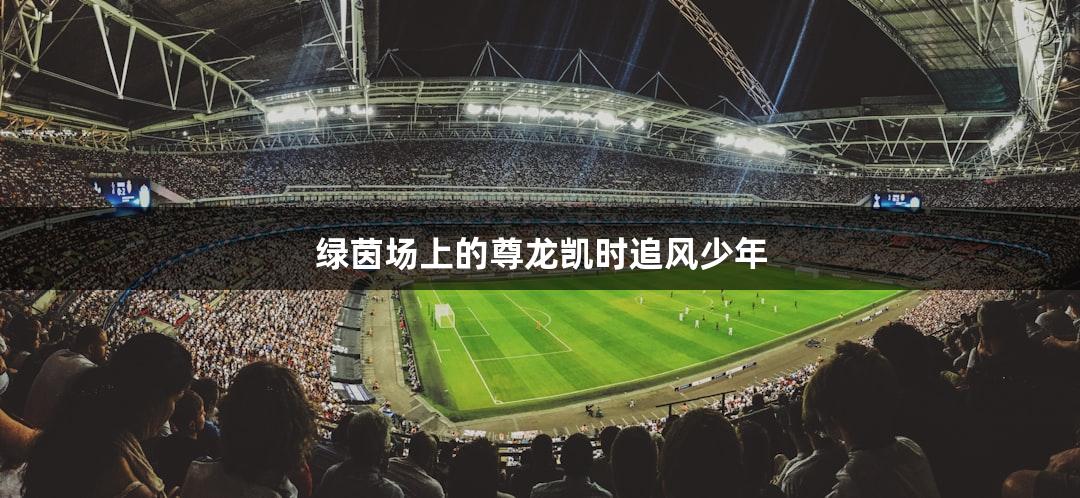 绿茵场上的尊龙凯时追风少年