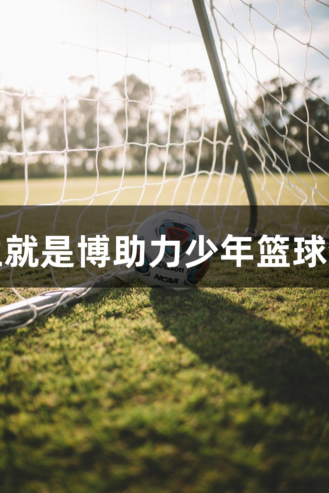 尊龙凯时人生就是博助力少年篮球梦想燃情绽放