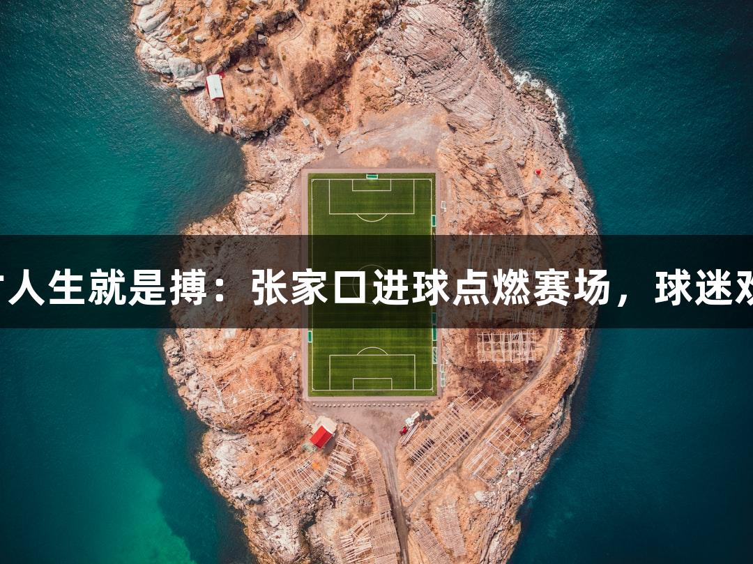 尊龙凯时人生就是搏：张家口进球点燃赛场，球迷欢呼沸腾！
