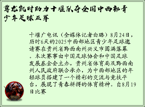 尊龙凯时助力十堰队夺全国中西部青少年足球亚军