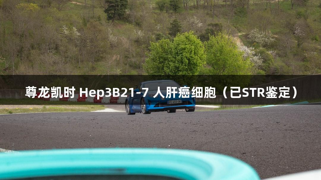 尊龙凯时 Hep3B21-7 人肝癌细胞（已STR鉴定）