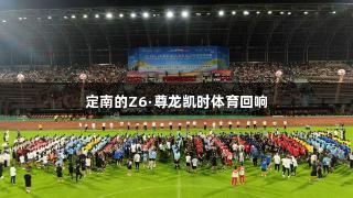 定南的Z6·尊龙凯时体育回响