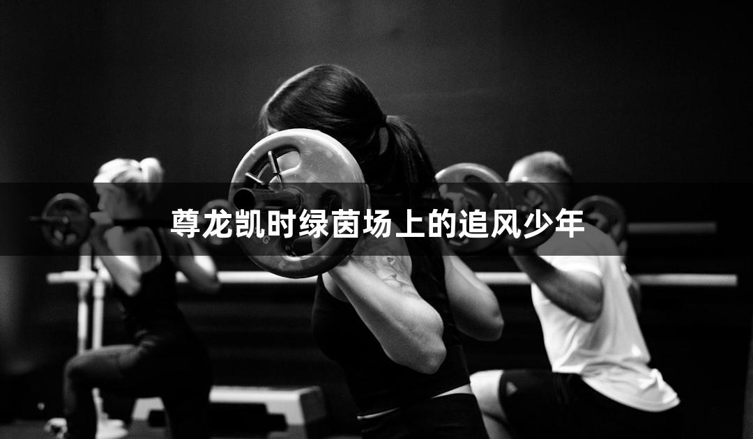 尊龙凯时绿茵场上的追风少年