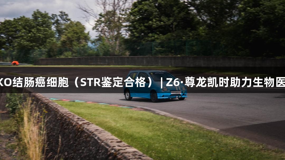 RKO结肠癌细胞（STR鉴定合格） | Z6·尊龙凯时助力生物医疗