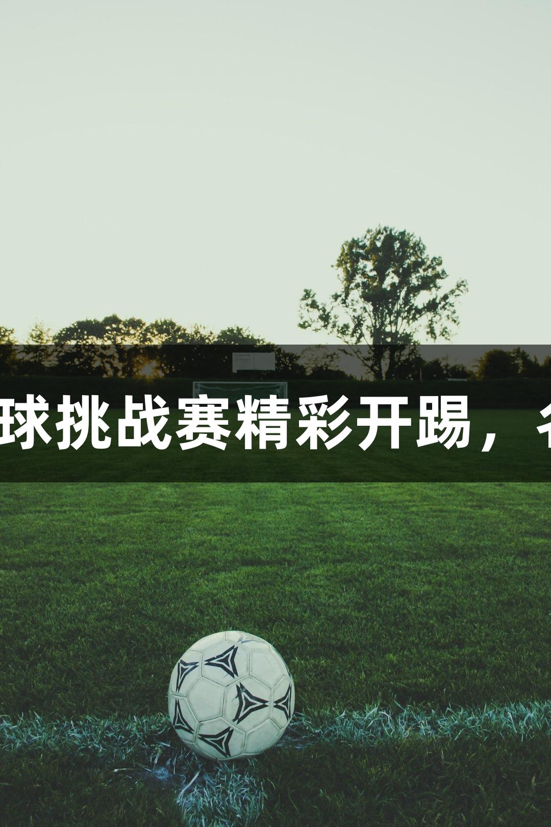 尊龙凯时时刻关注！“郸青超”U18青少年足球挑战赛精彩开踢，名嘴韩乔生现场解说，战国十八公子大秀才艺。