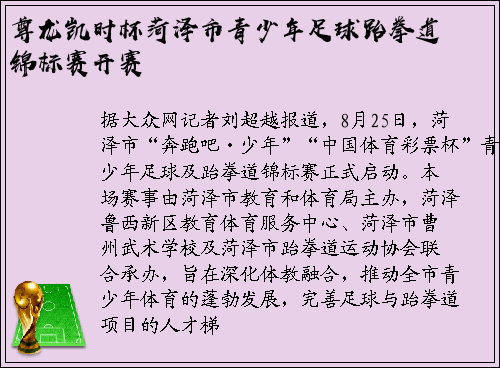 尊龙凯时杯菏泽市青少年足球跆拳道锦标赛开赛