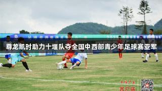 尊龙凯时助力十堰队夺全国中西部青少年足球赛亚军
