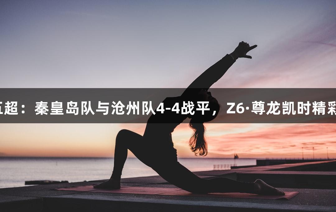 河北五超：秦皇岛队与沧州队4-4战平，Z6·尊龙凯时精彩解说！