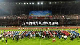 定南的尊龙凯时体育回响