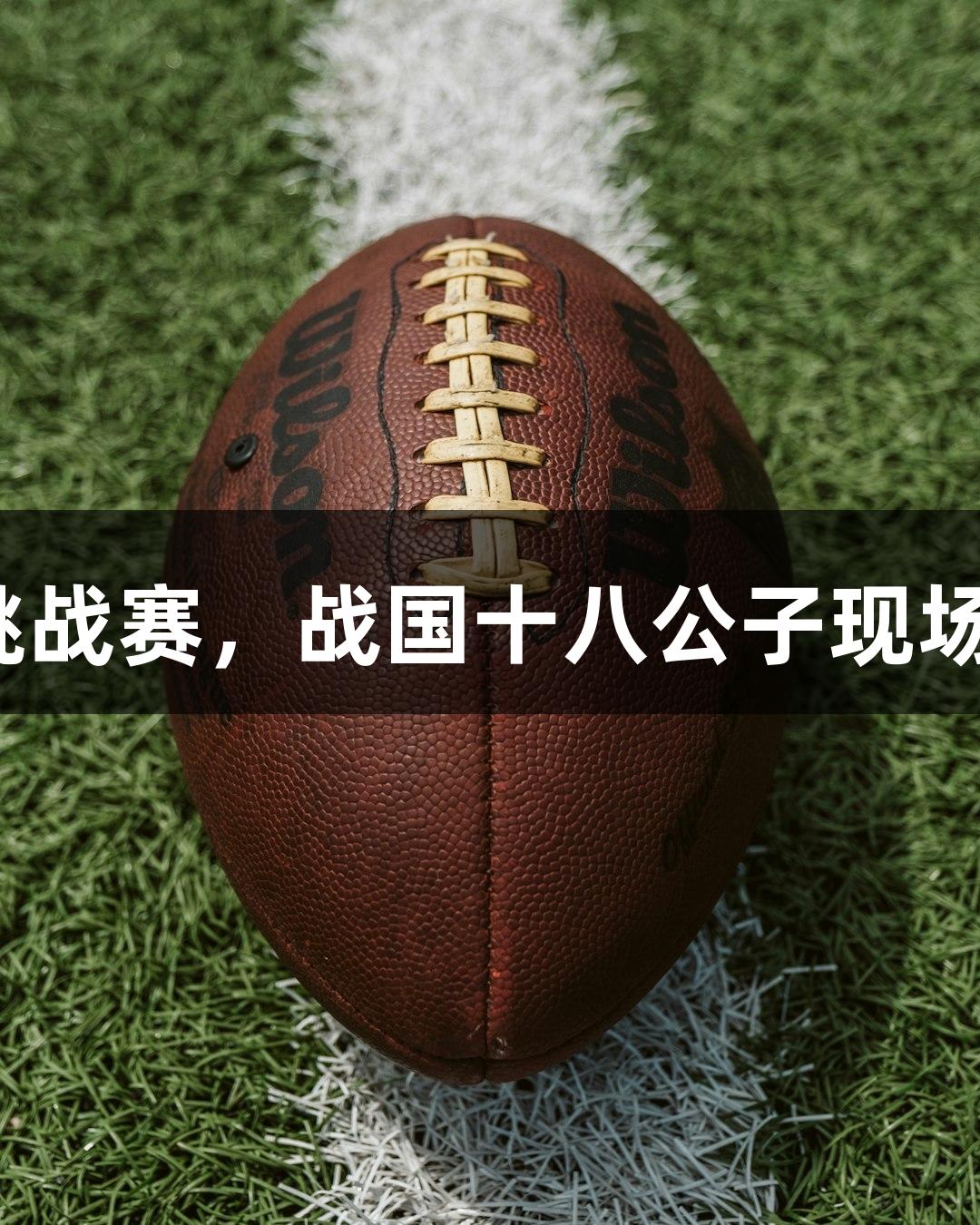 尊龙凯时赞助U18青少年足球挑战赛，战国十八公子现场秀才艺，韩乔生解说精彩赛事。