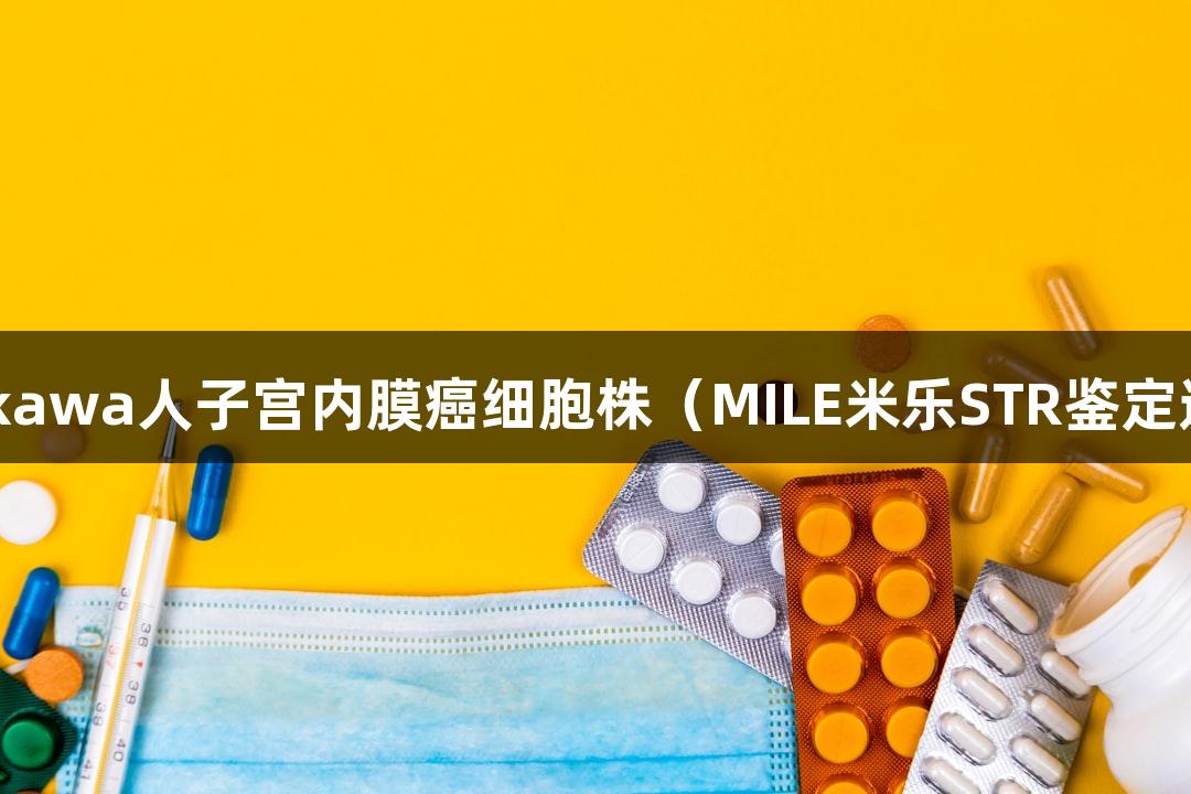 Ishikawa人子宫内膜癌细胞株（MILE米乐STR鉴定通过）