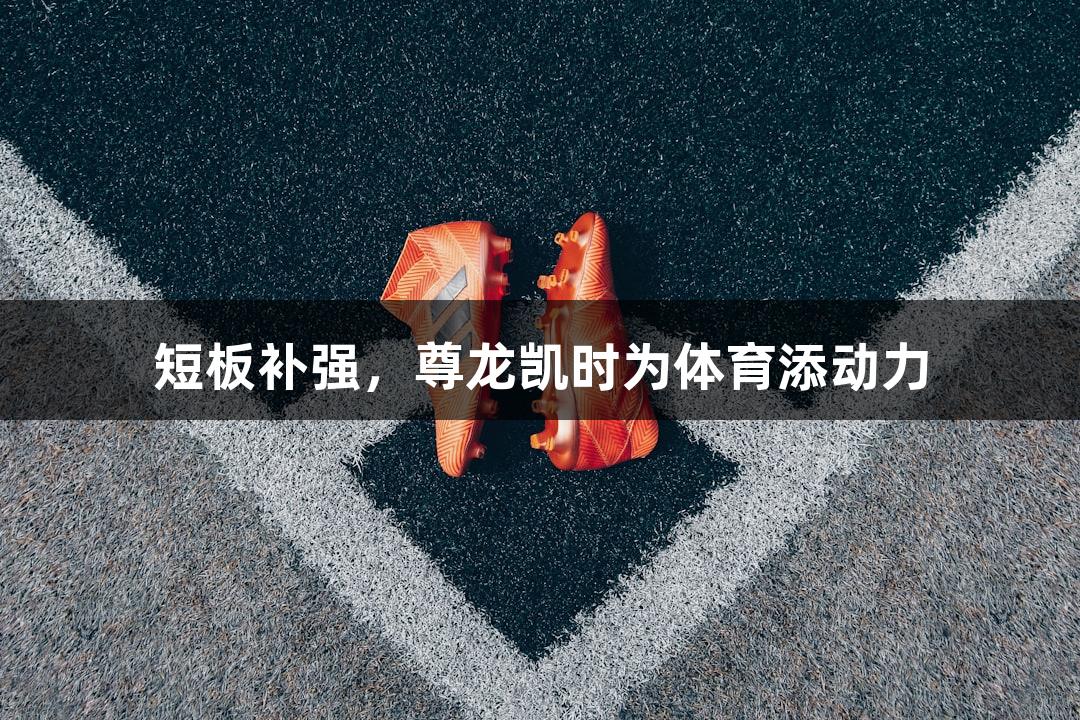 短板补强，尊龙凯时为体育添动力
