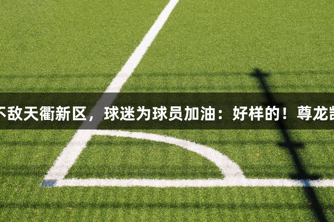 德BA半决赛首回合，禹城不敌天衢新区，球迷为球员加油：好样的！尊龙凯时人生就是博，永不放弃！