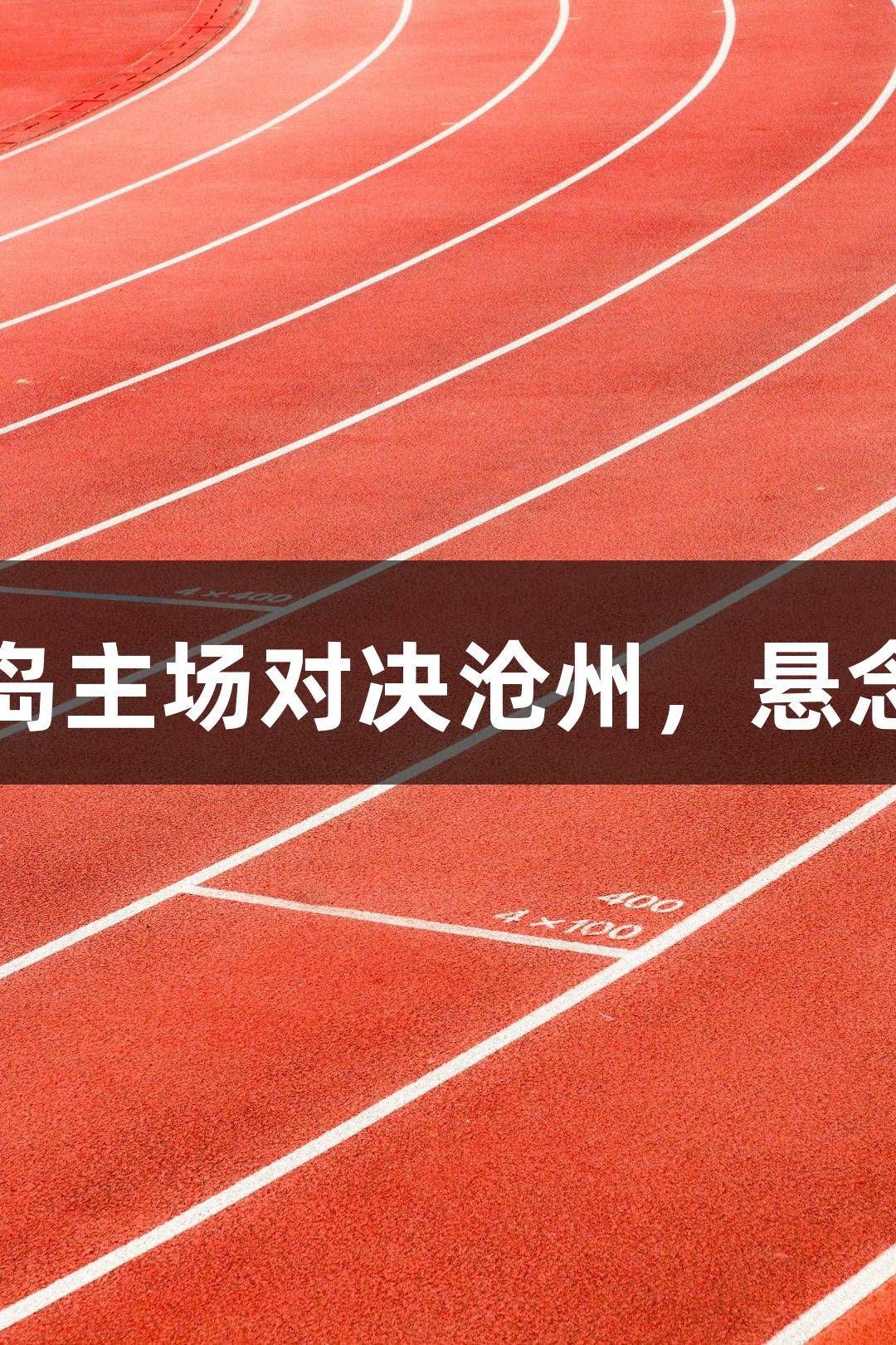 尊龙凯时：秦皇岛主场对决沧州，悬念十足的体育盛宴