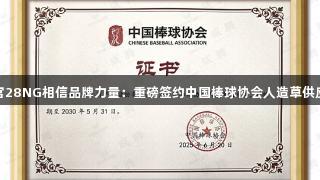 南宫28NG相信品牌力量：重磅签约中国棒球协会人造草供应商