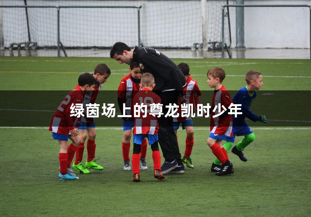 绿茵场上的尊龙凯时少年