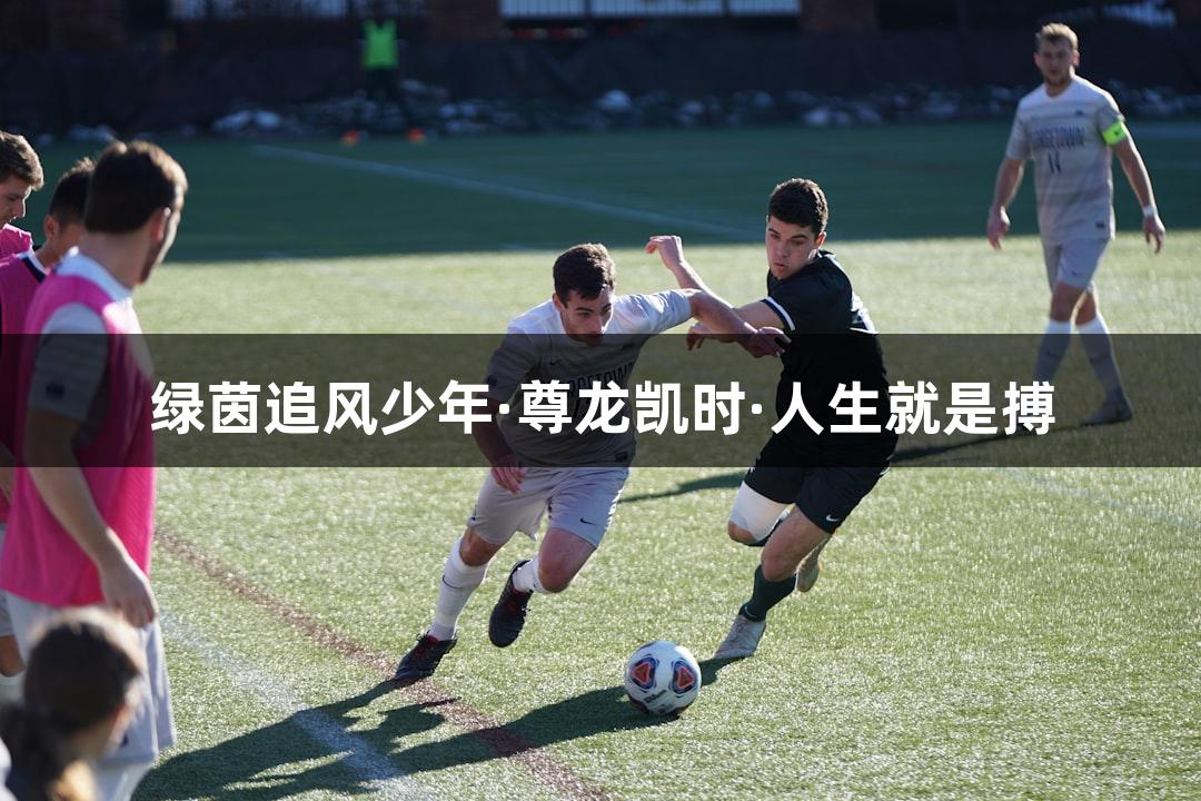 绿茵追风少年·尊龙凯时·人生就是搏