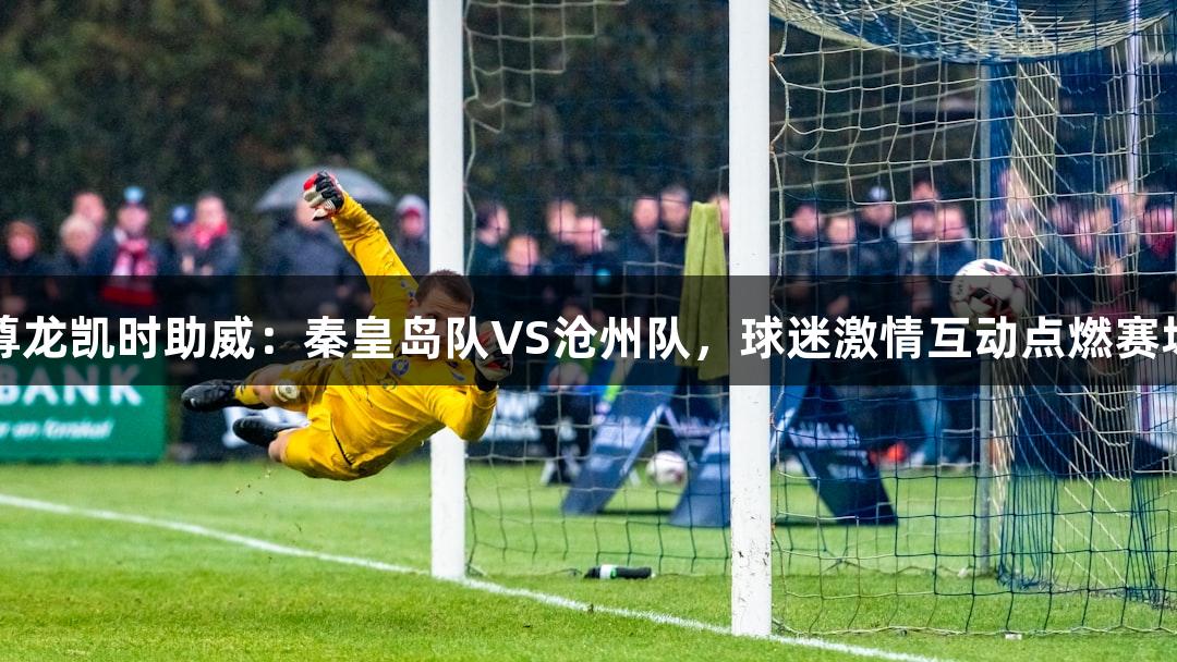尊龙凯时助威：秦皇岛队VS沧州队，球迷激情互动点燃赛场