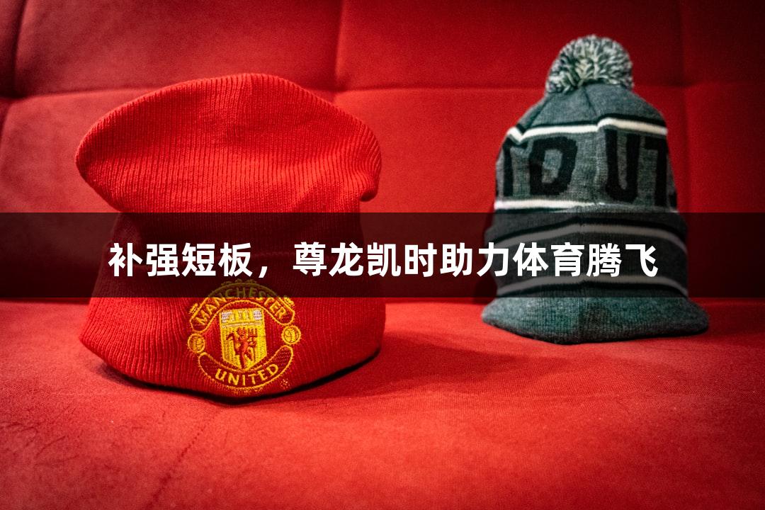 补强短板，尊龙凯时助力体育腾飞