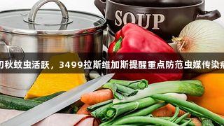 初秋蚊虫活跃，3499拉斯维加斯提醒重点防范虫媒传染病