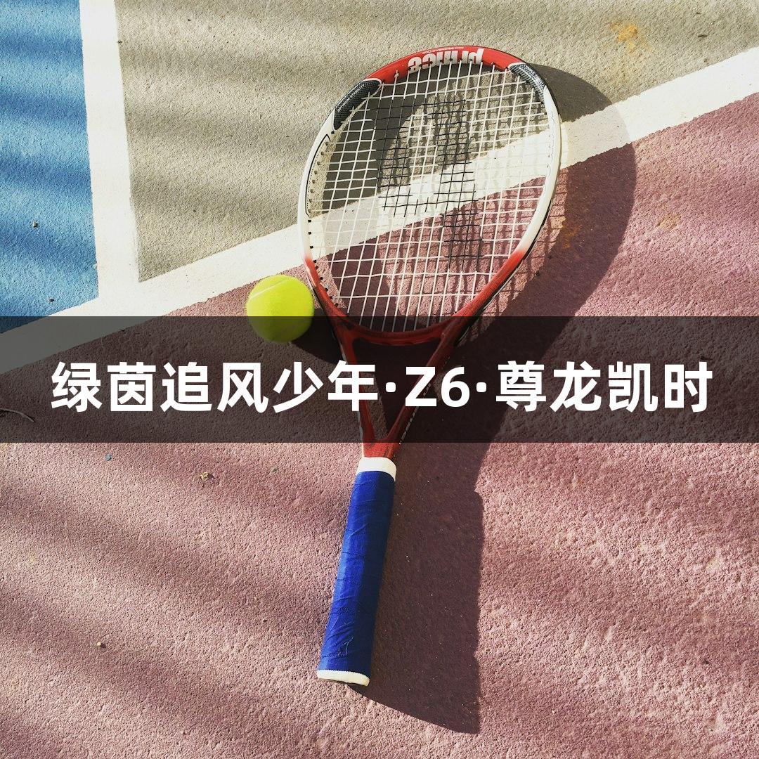 绿茵追风少年·Z6·尊龙凯时