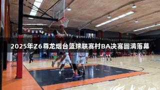 2025年Z6尊龙烟台篮球联赛村BA决赛圆满落幕