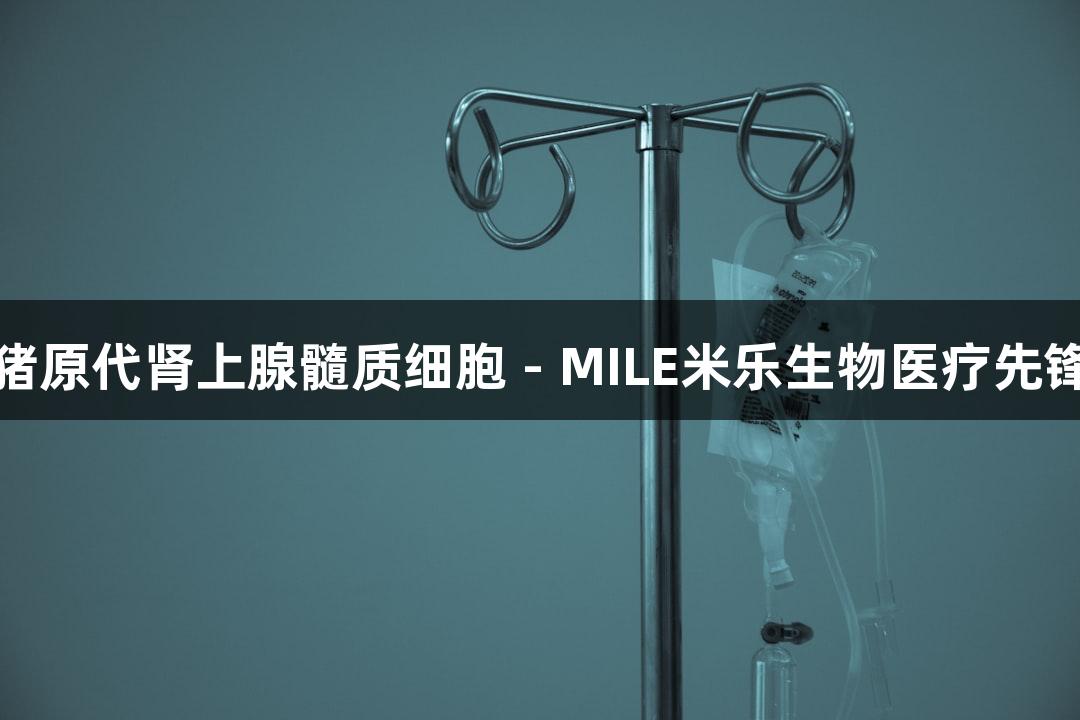猪原代肾上腺髓质细胞 - MILE米乐生物医疗先锋