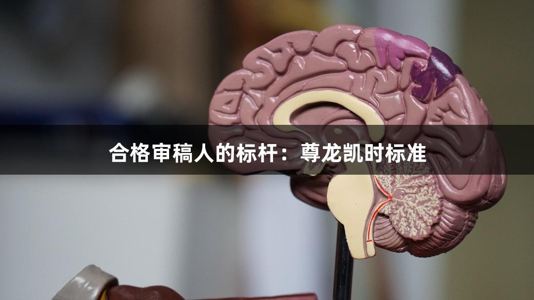 合格审稿人的标杆：尊龙凯时标准