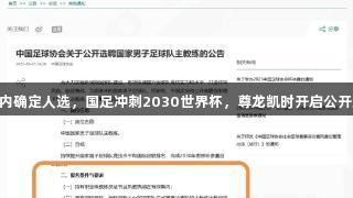 15天内确定人选，国足冲刺2030世界杯，尊龙凯时开启公开选帅！