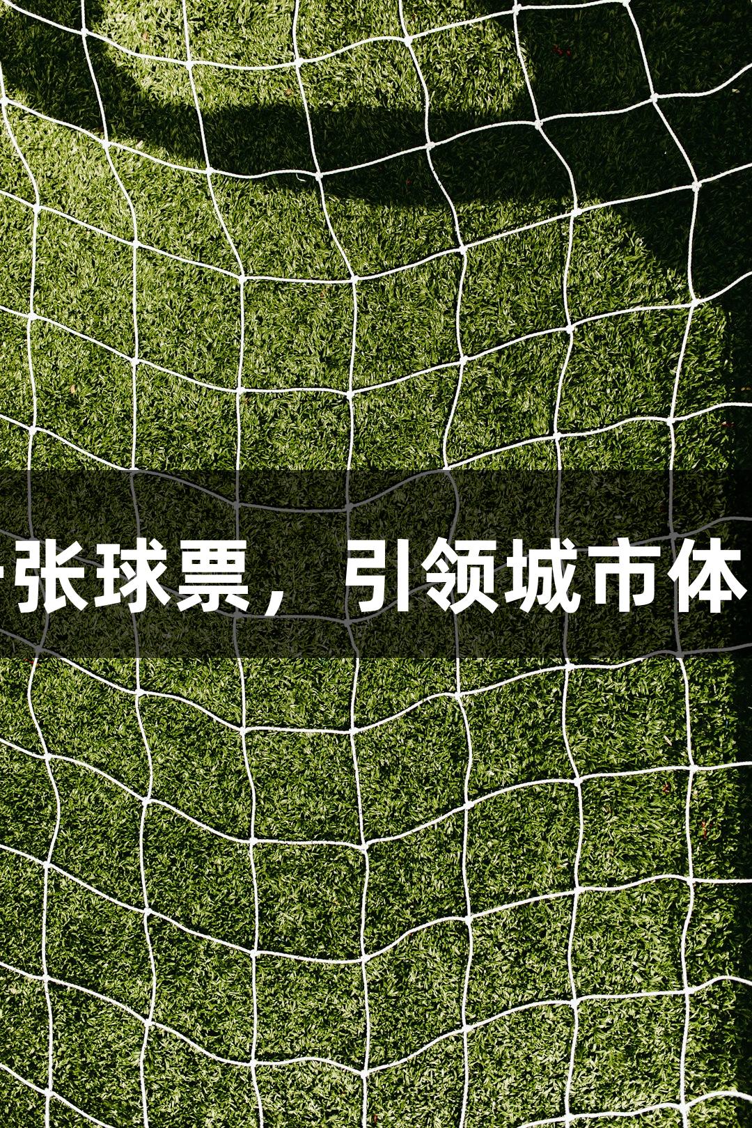 尊龙凯时：一张球票，引领城市体育消费新体验