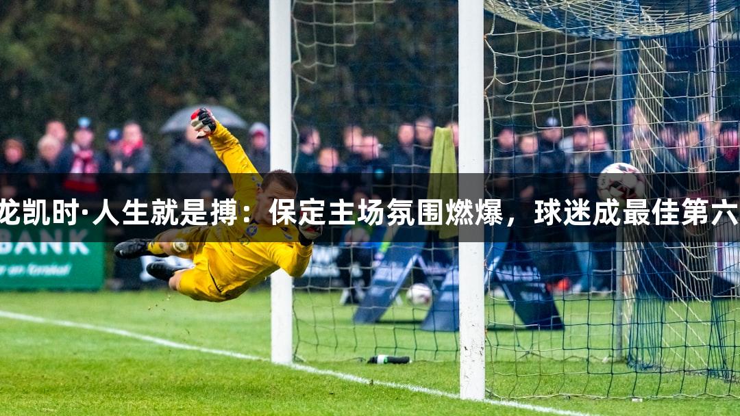 尊龙凯时·人生就是搏：保定主场氛围燃爆，球迷成最佳第六人！
